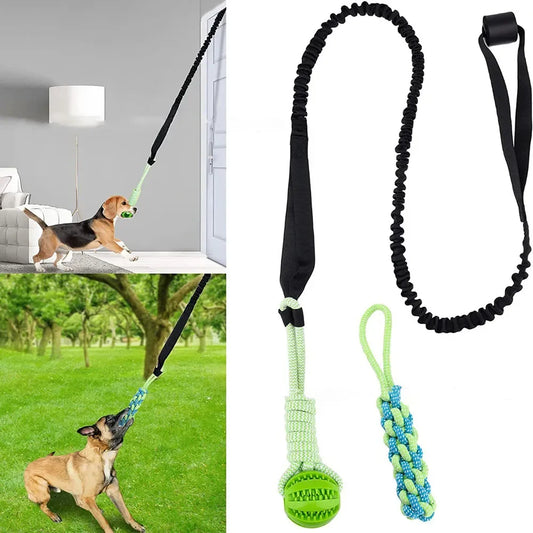 Ultimate Dog Tug Toy Fun