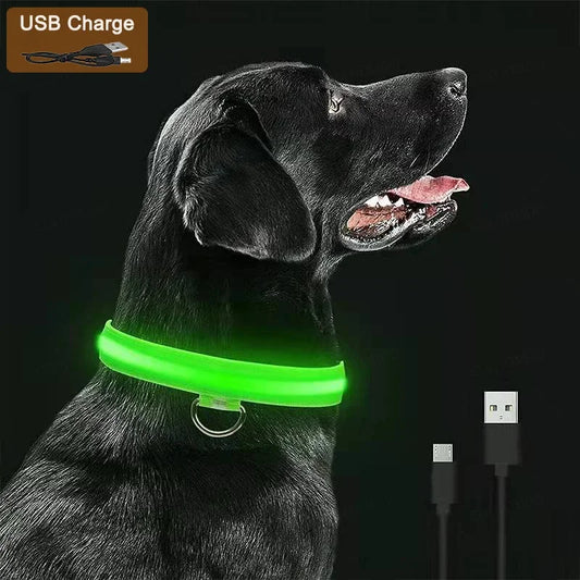 GlowGuard LED Dog Collar